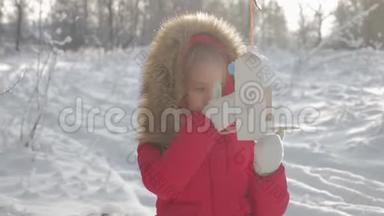 冬天公园里有个漂亮可爱的女孩，带着喂鸟器。 在树上喂鸟，寒假和假期概念，儿童